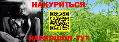 сатива Малгобек
