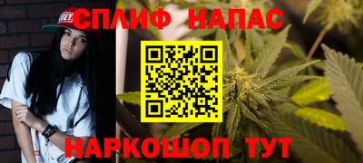 сатива Малгобек