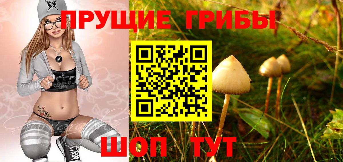 Шелехов  Псилоцибиновые грибы мицелий  Вход с VPN 