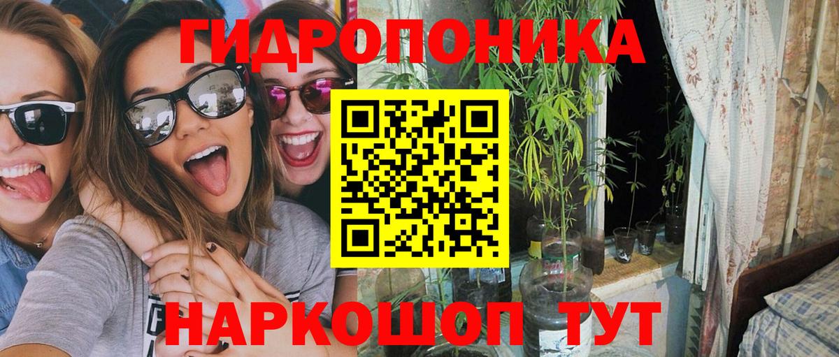 Шишки марихуана сатива  Каннабис план  Шелехов  Канабис сатива  Вход с VPN 